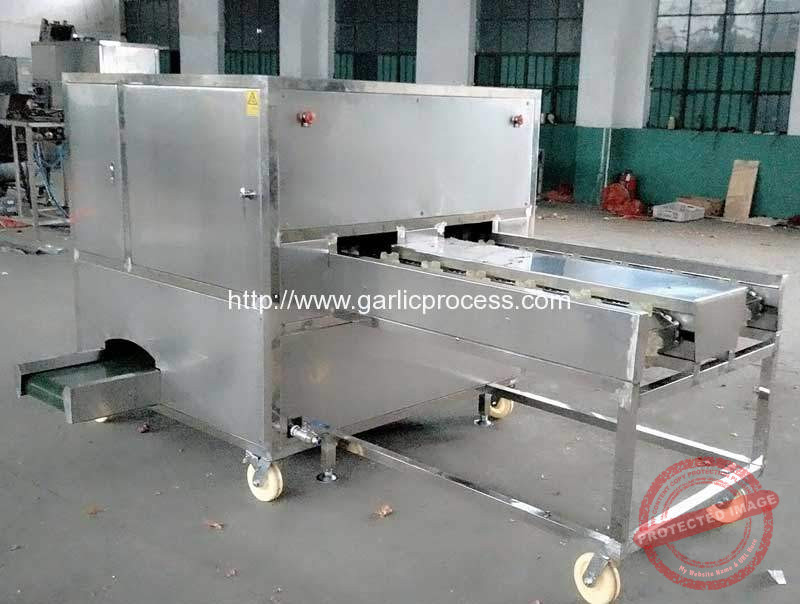 Four-Belt-Automatic-Garlic-Root-Concave-Cutting-Machine-for-Sale